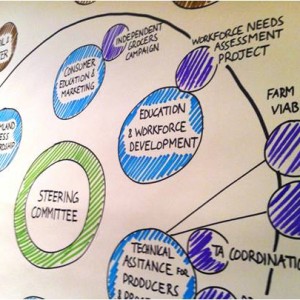 FarmtoPlateNetwork Structure